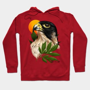 Peregrine Falcon Hoodie